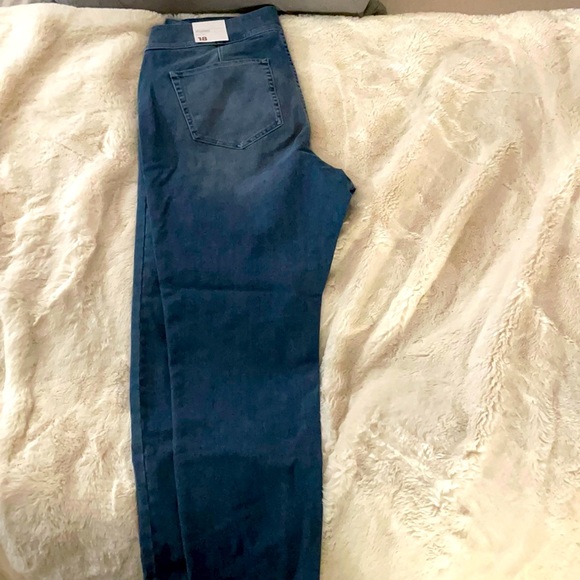 Lane Bryant Denim - High rise jegging